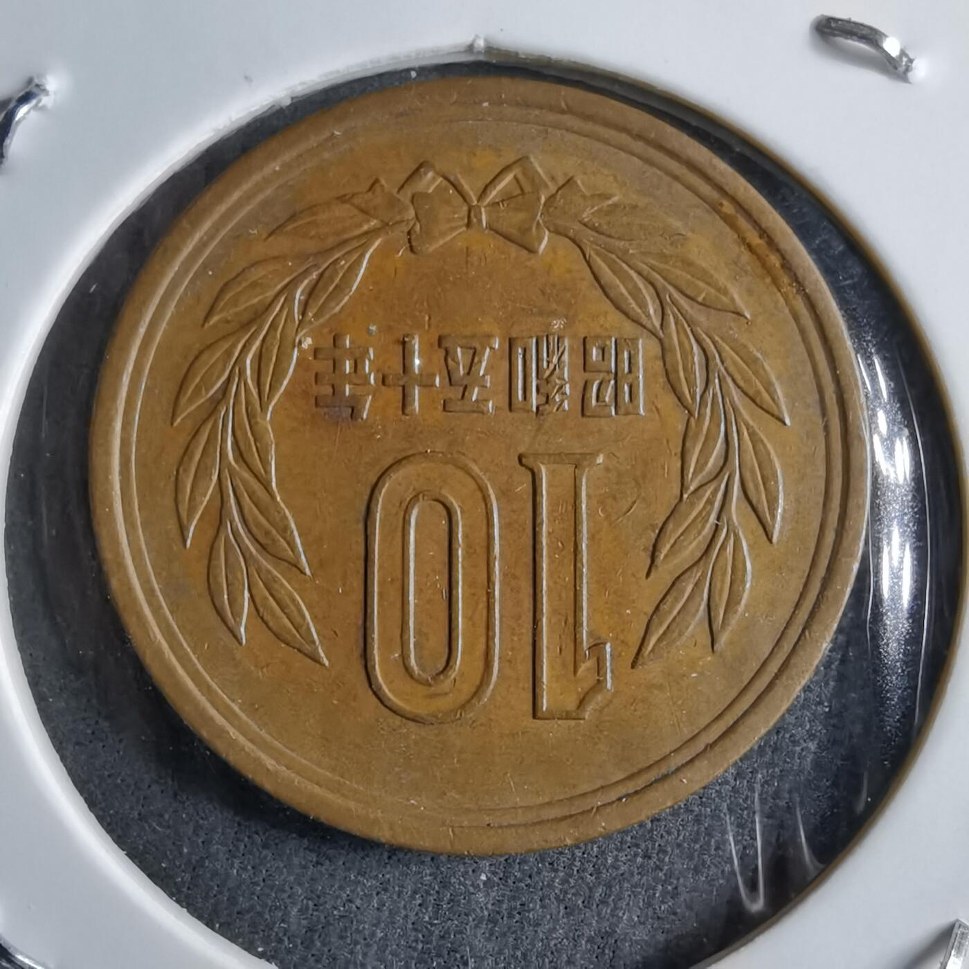 沼泽如烟--第891场