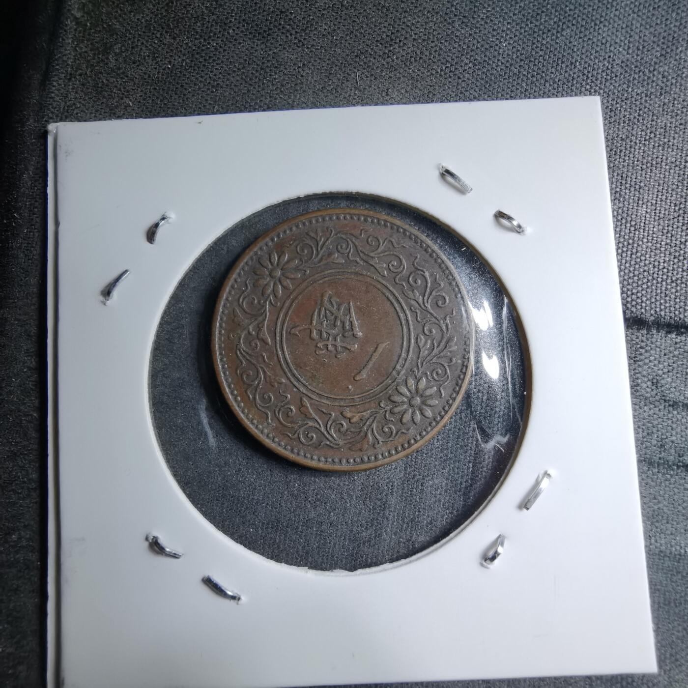 沼泽如烟--第891场