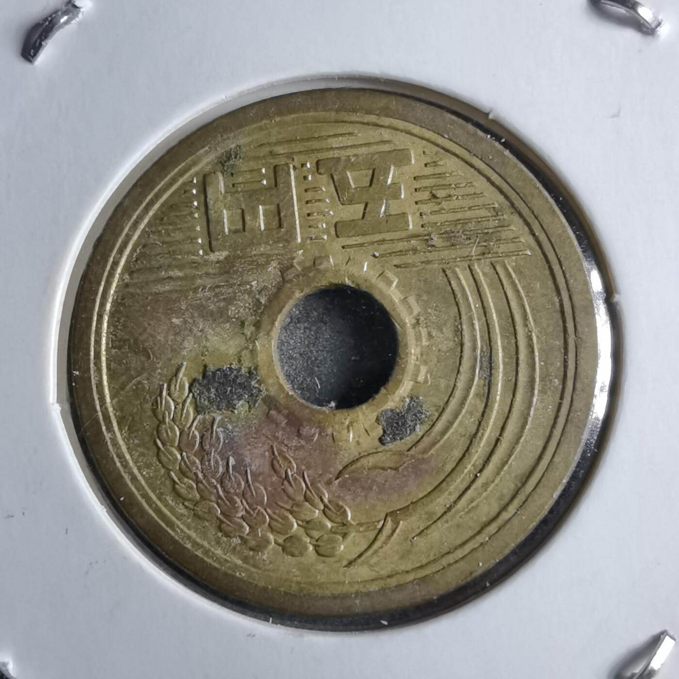 沼泽如烟--第891场