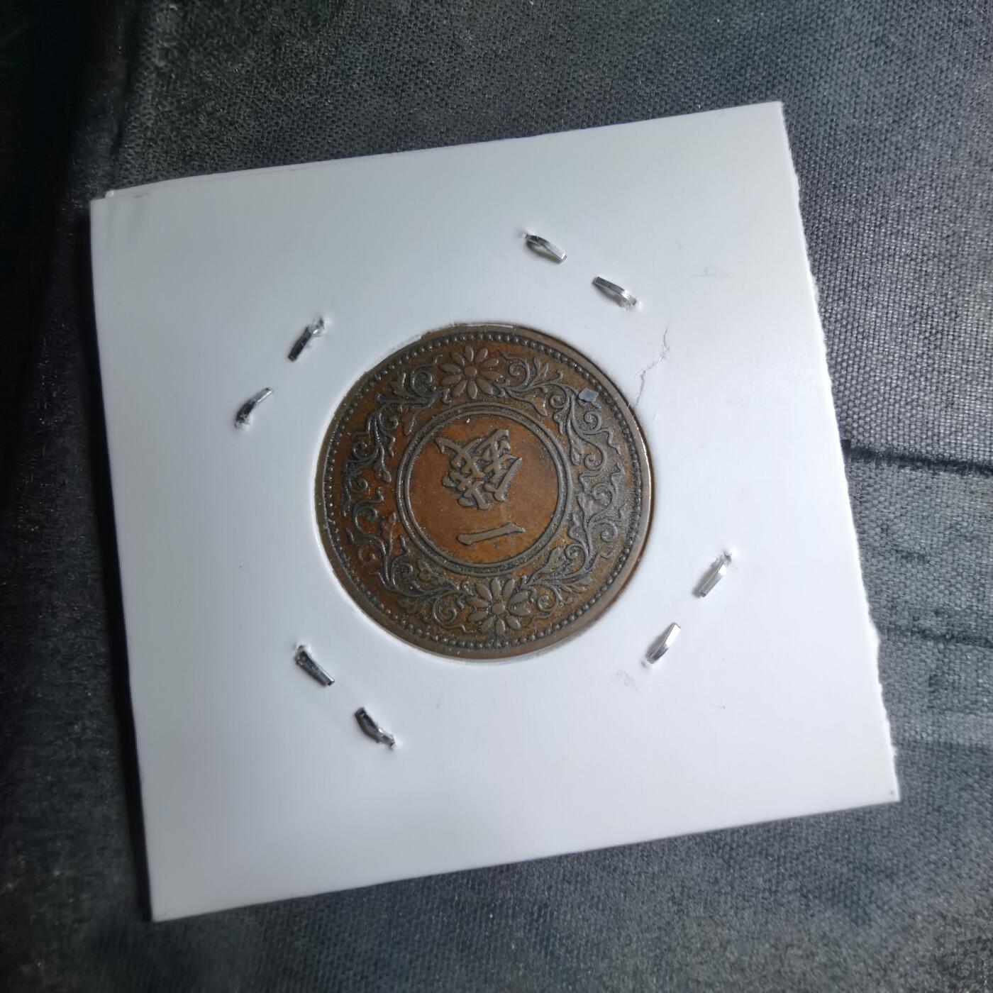 沼泽如烟--第891场