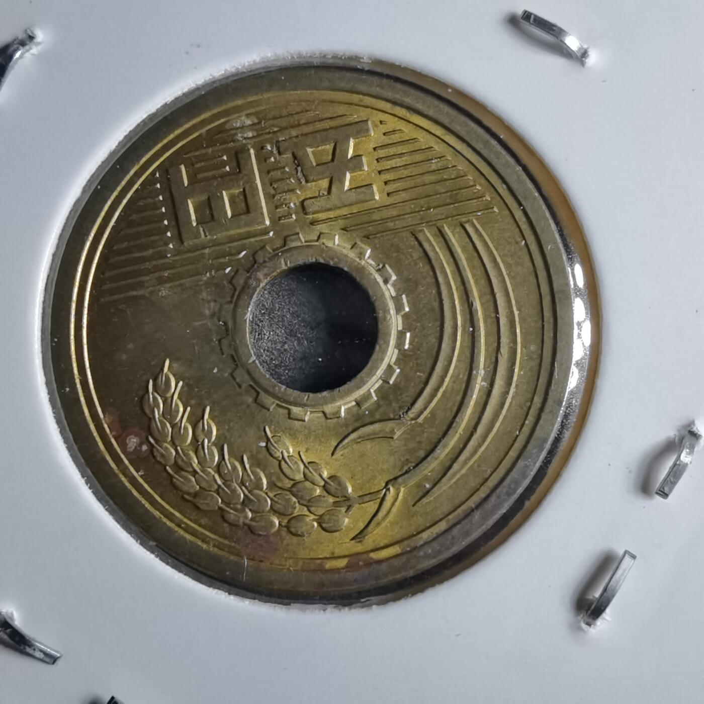 沼泽如烟--第891场