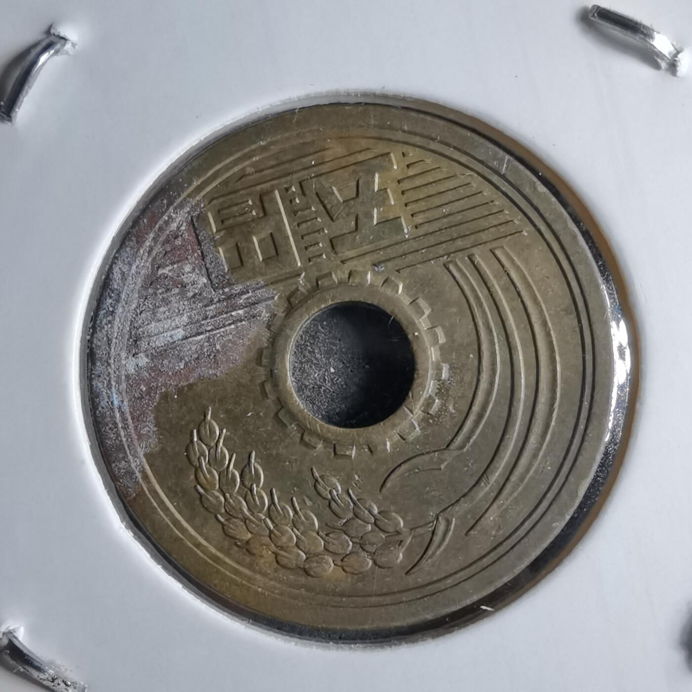 沼泽如烟--第891场