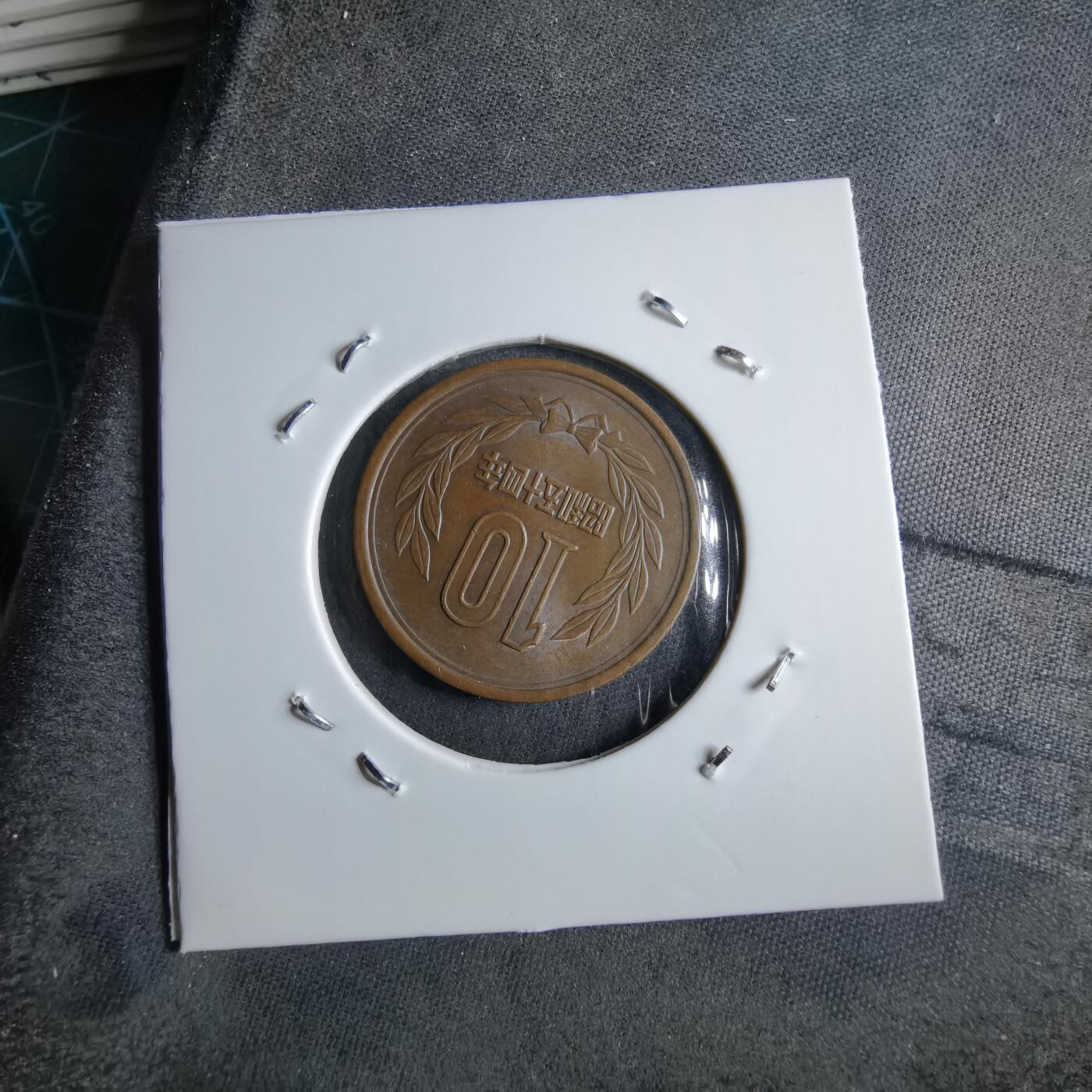 沼泽如烟--第891场