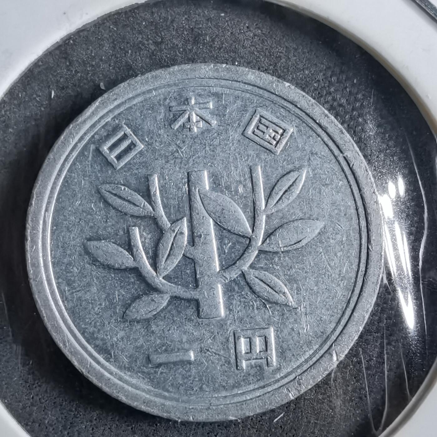 沼泽如烟--第891场