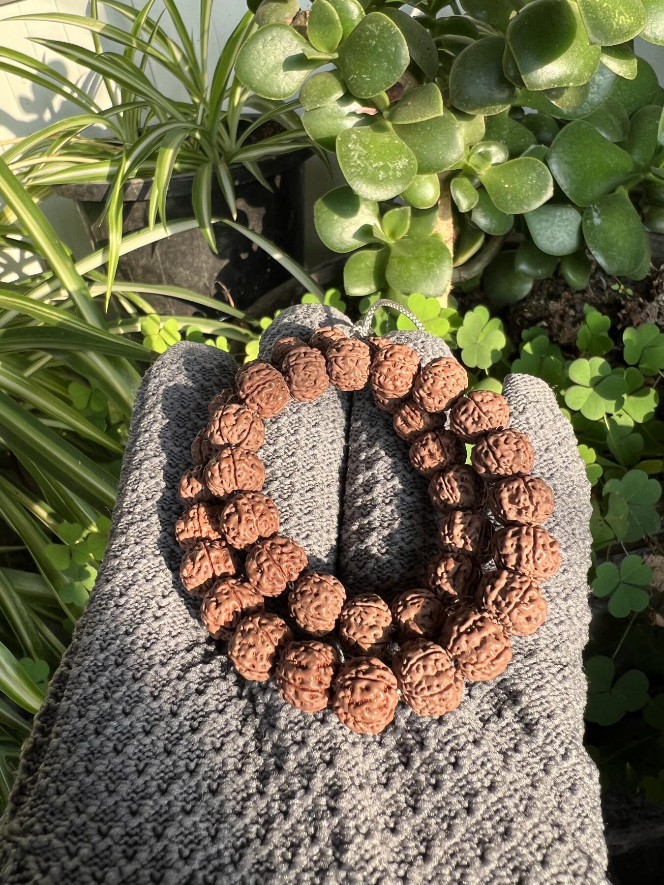 零元拍：NO.11 原生态矮桩平细金刚菩提手持，10/8.5 左右