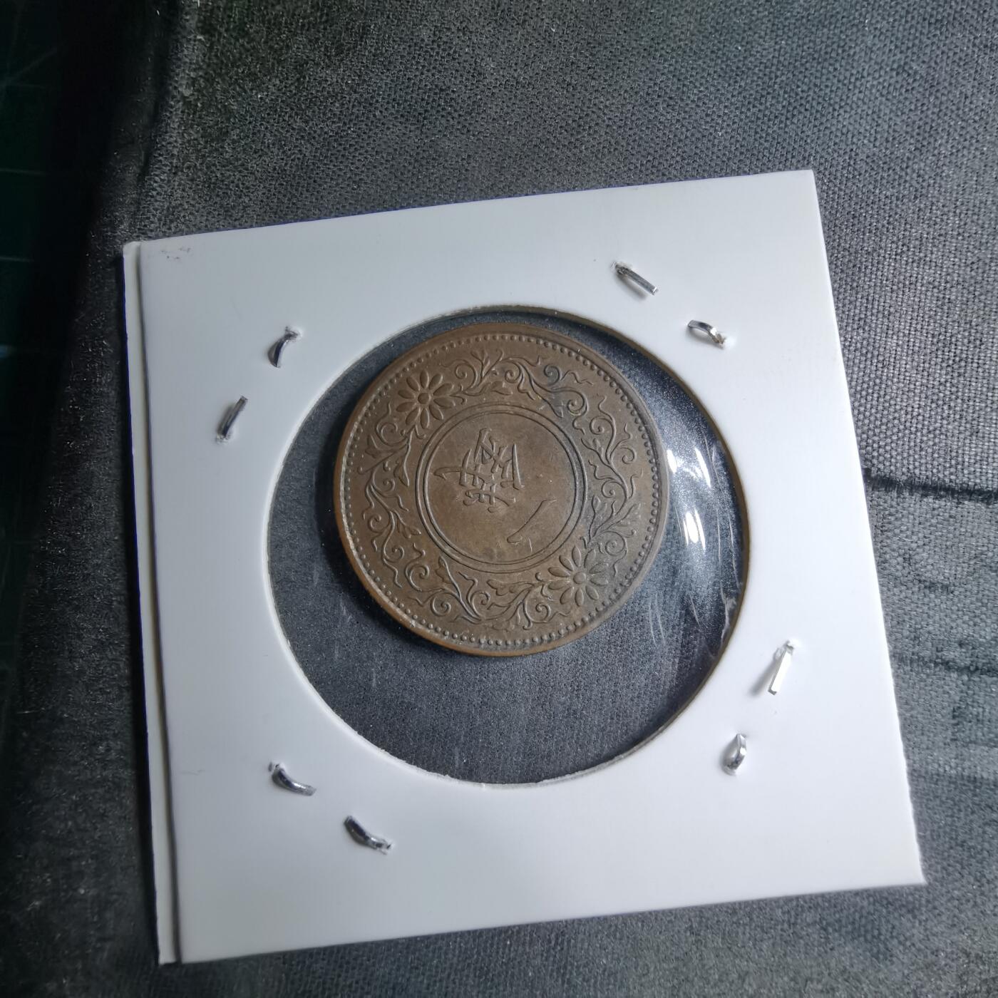 沼泽如烟--第891场