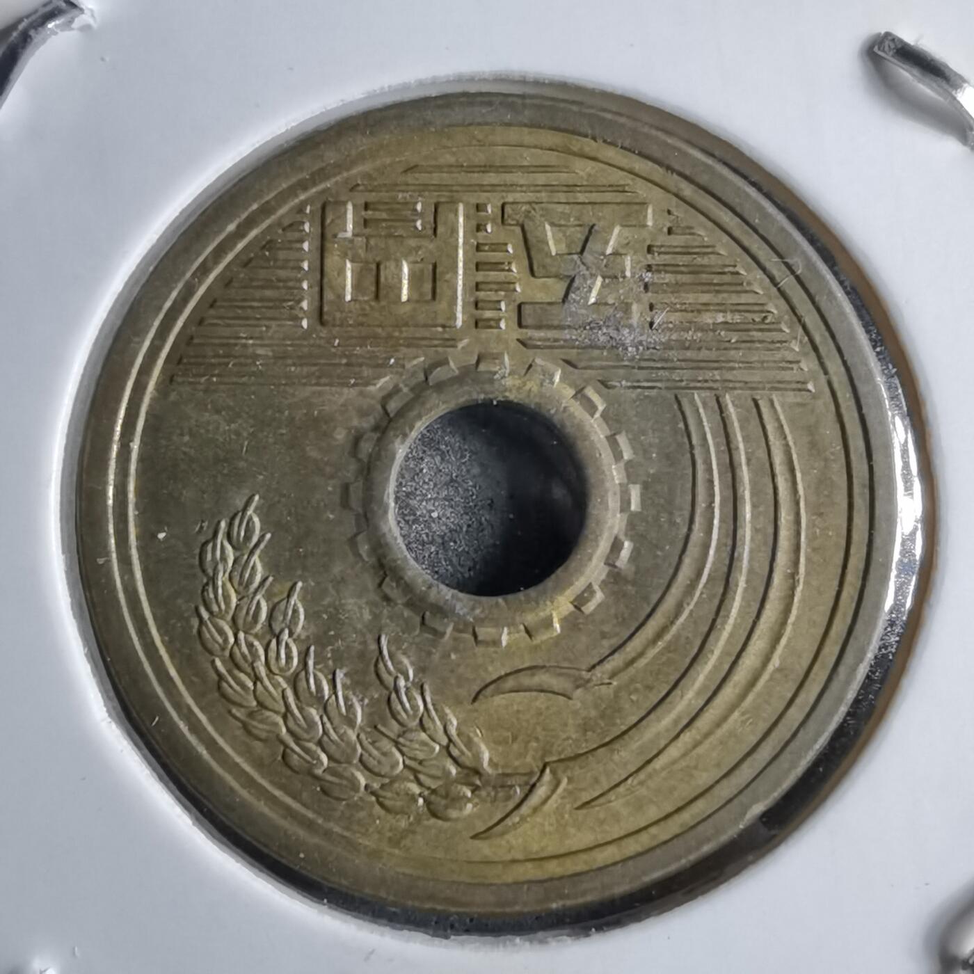 沼泽如烟--第891场