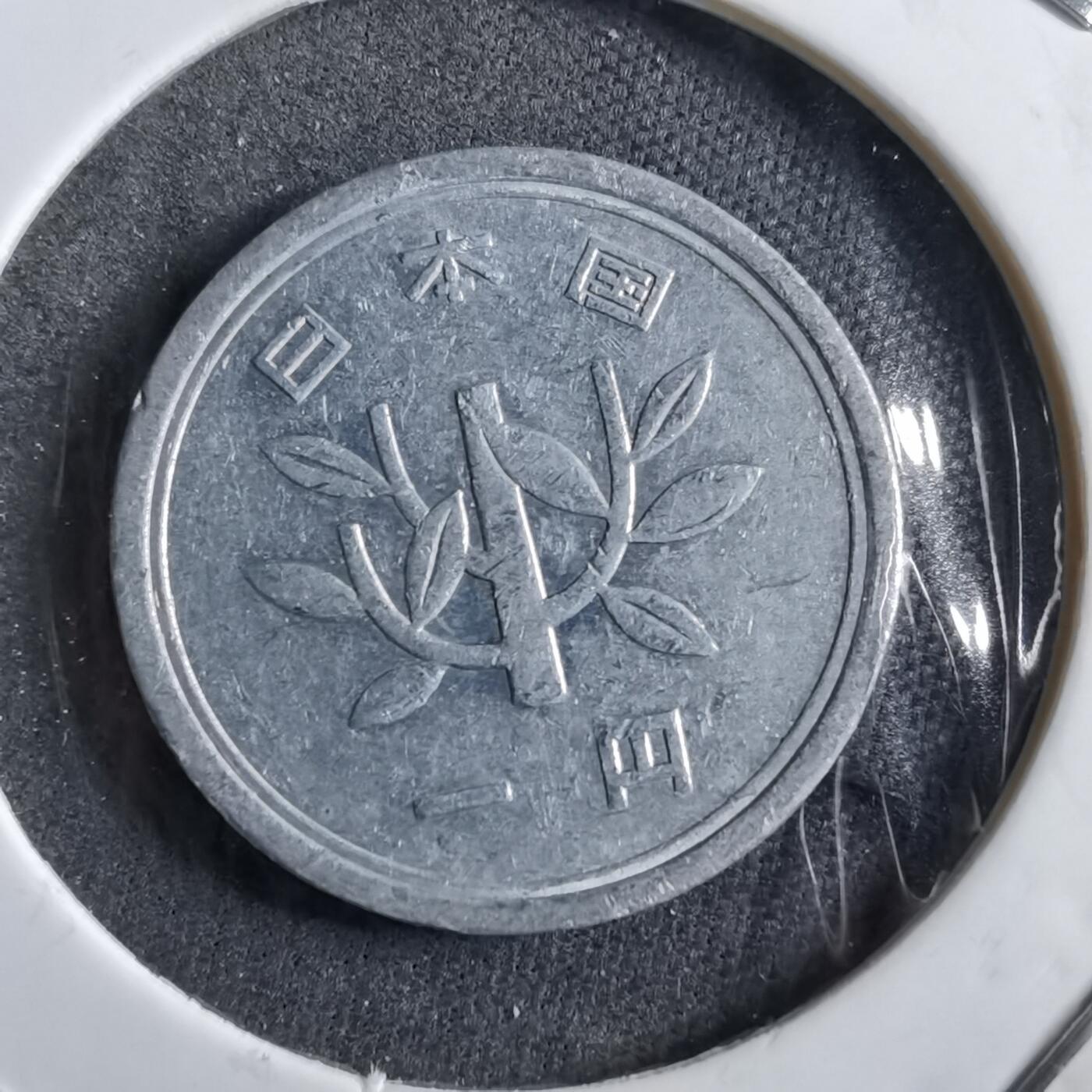 沼泽如烟--第891场