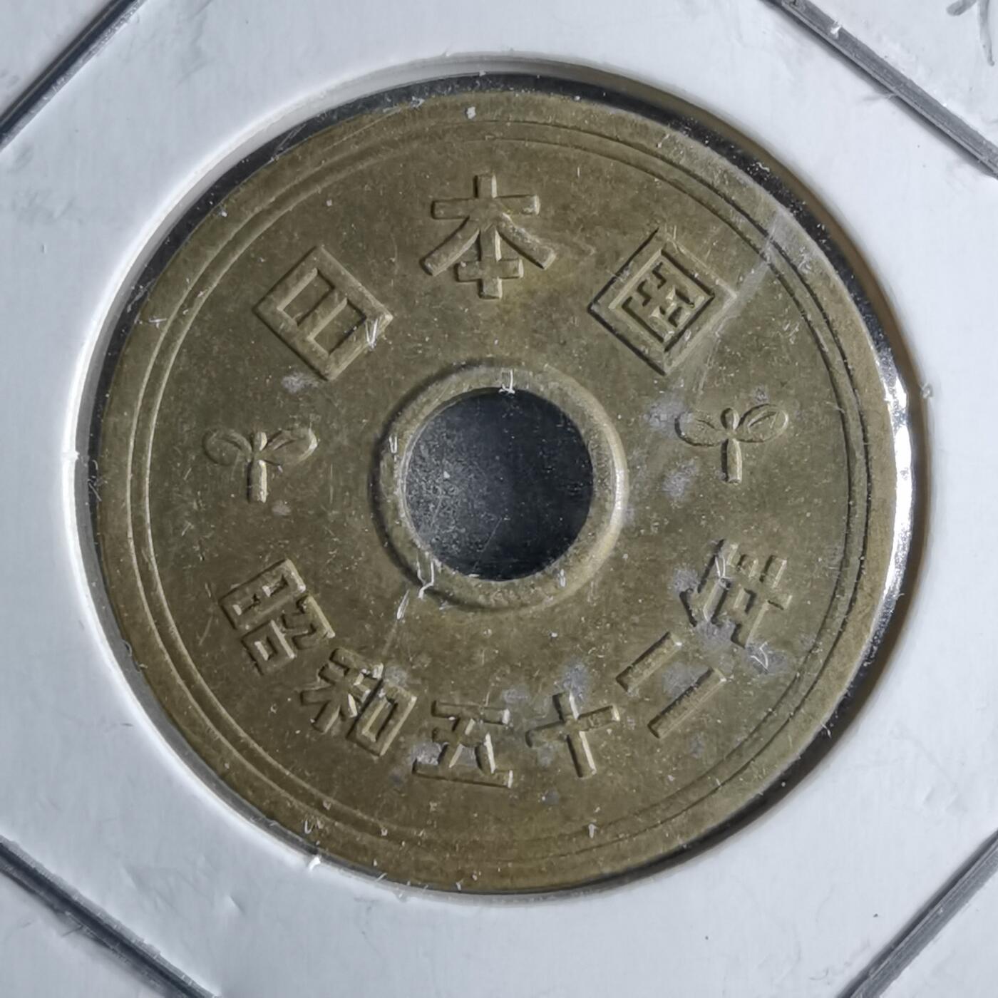 沼泽如烟--第891场