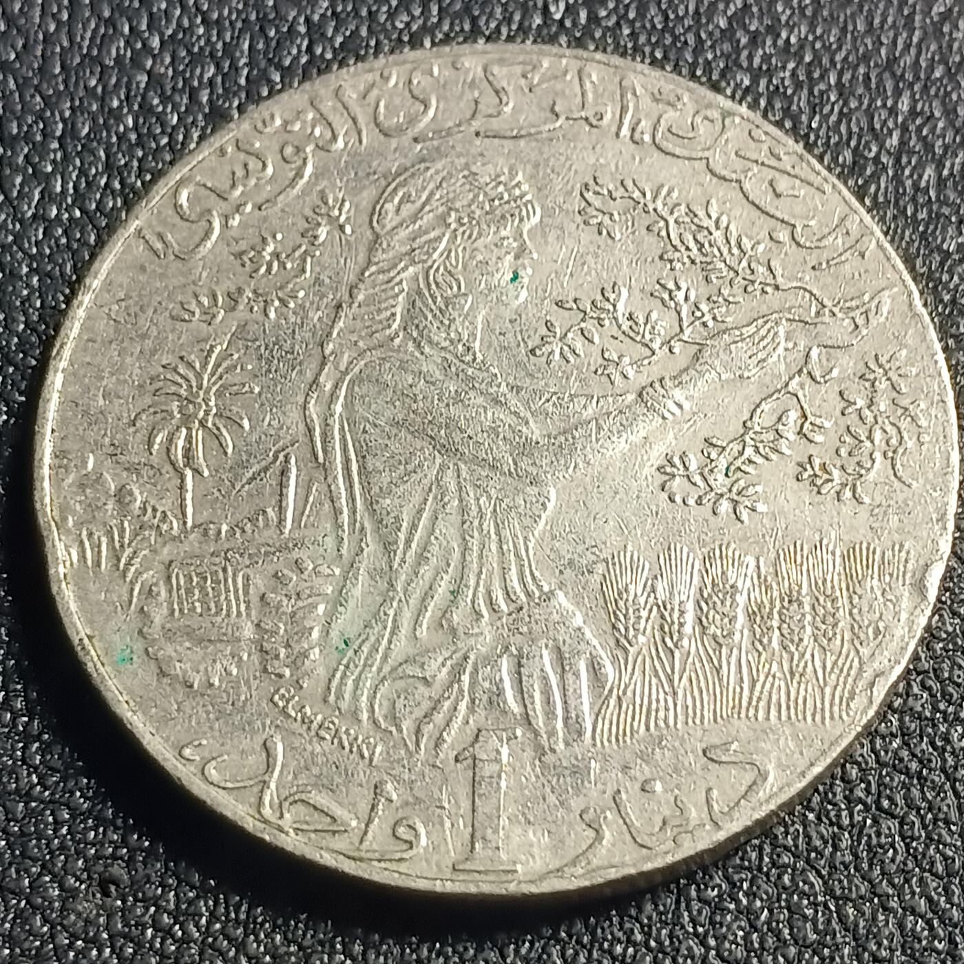 泉币菌-第128场-精品福利场(115场之后的本周末发货，感谢理解) 。