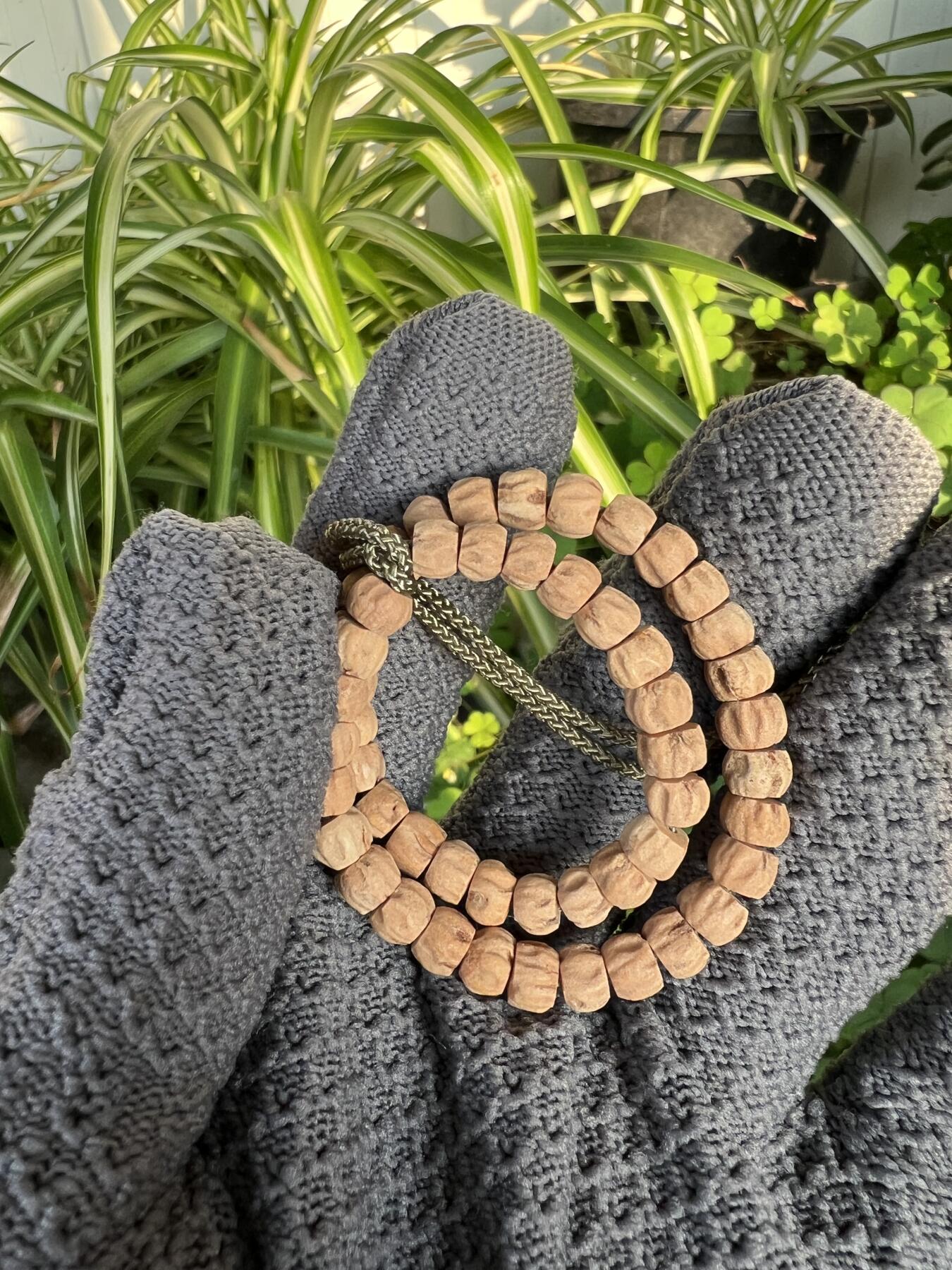 零元拍：NO.6 百香籽 手持 手串 6/4左右