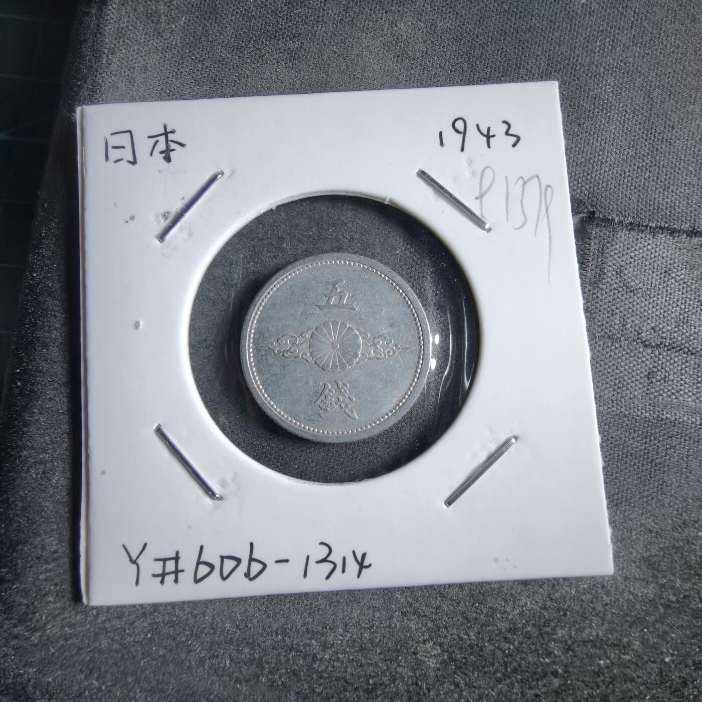 沼泽如烟--第891场