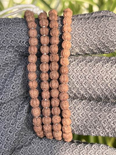 零元拍：NO.8 五爪金龙小佛手长串5MM左右，非常容易变红，坊间人称三日红，很容易有盘玩成就感。图8是我自己盘玩效果 - 零元拍：NO.8 五爪金龙小佛手长串5MM左右，非常容易变红，坊间人称三日红，很容易有盘玩成就感。图8是我自己盘玩效果