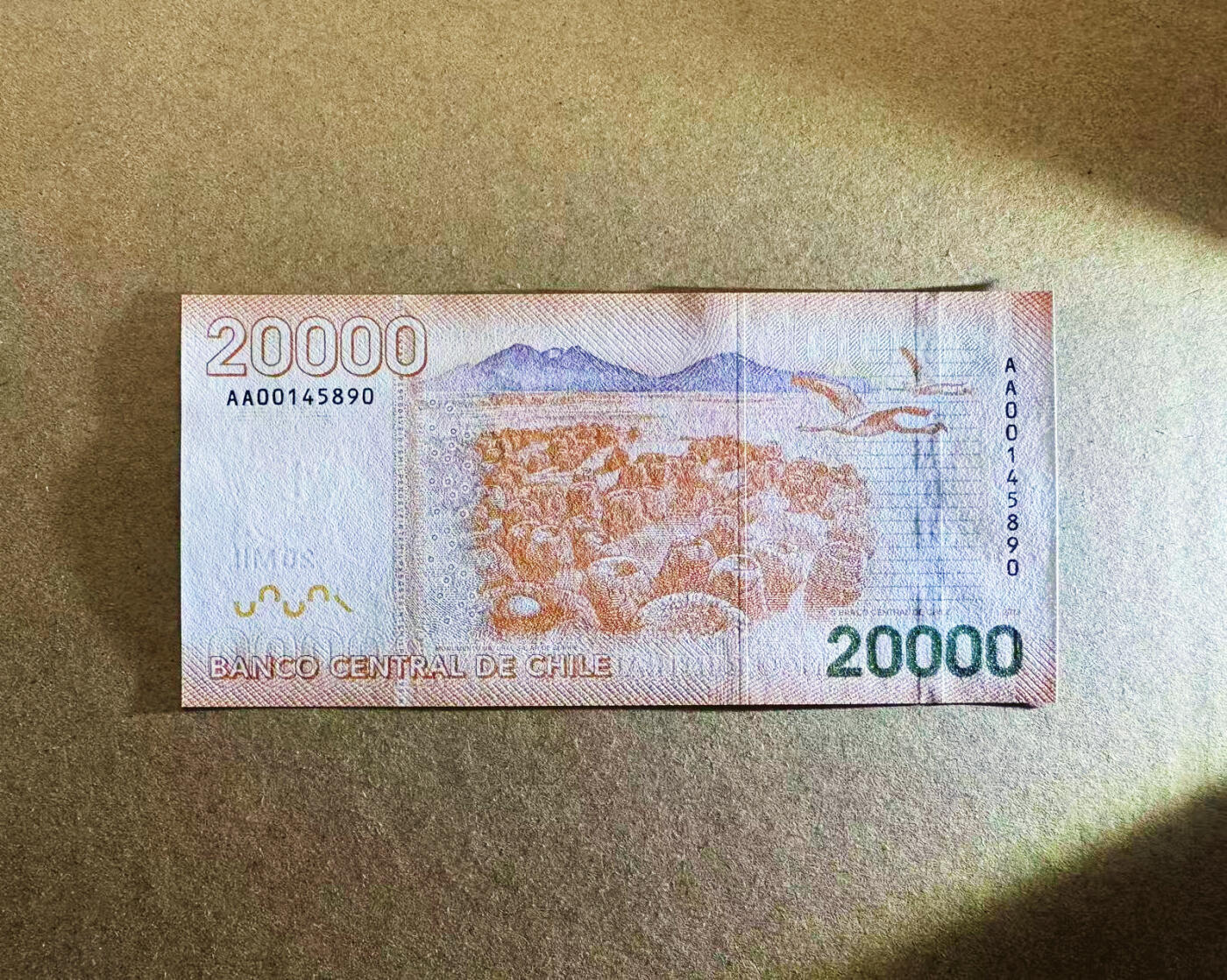 【Blue Auction】世界纸币精拍第746期——18级TOP拍卖/信誉/品质/专业/高效💫 【AA】智利 20000比索  全新UNC