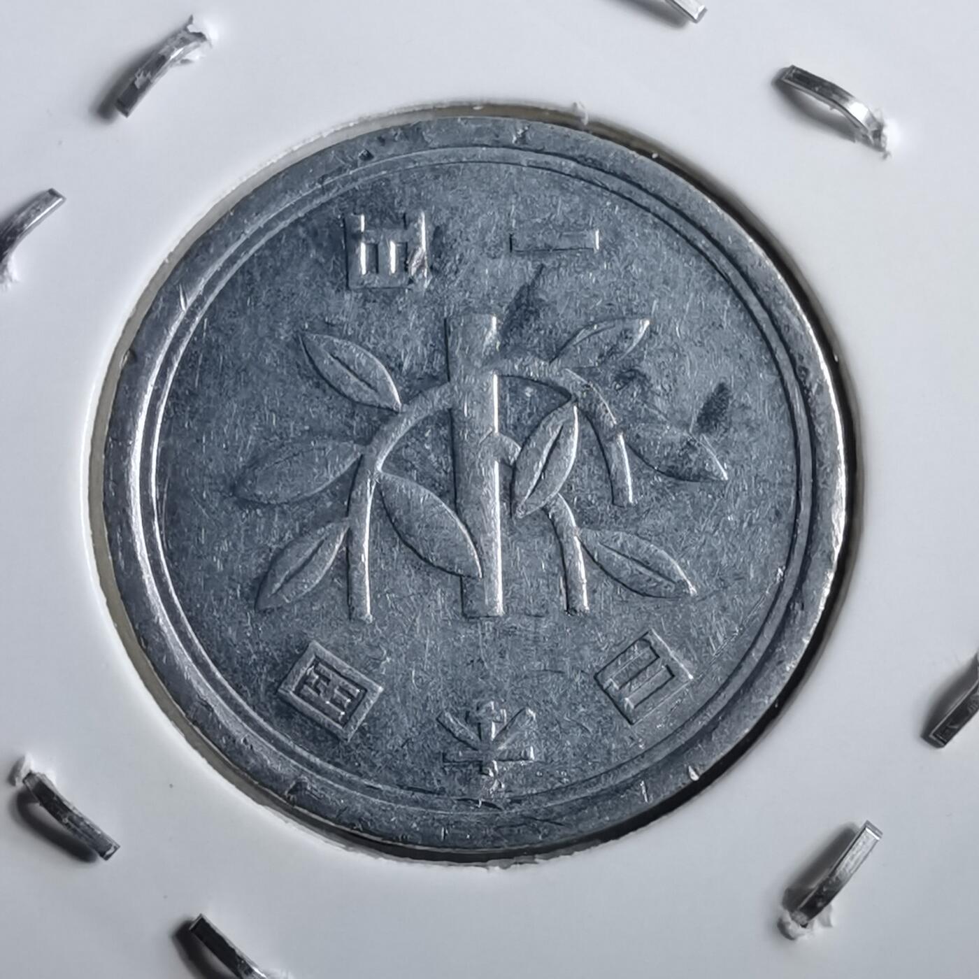 沼泽如烟--第891场