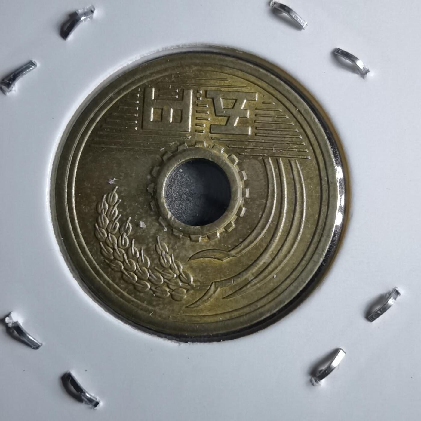 沼泽如烟--第891场