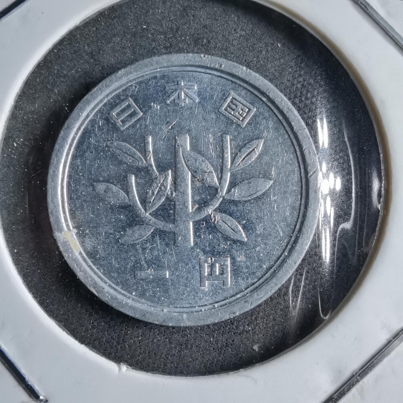 沼泽如烟--第891场