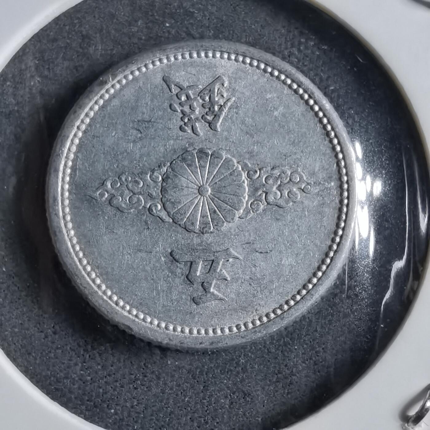 沼泽如烟--第891场