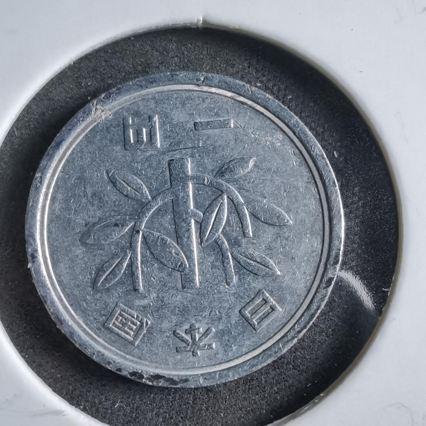 沼泽如烟--第891场