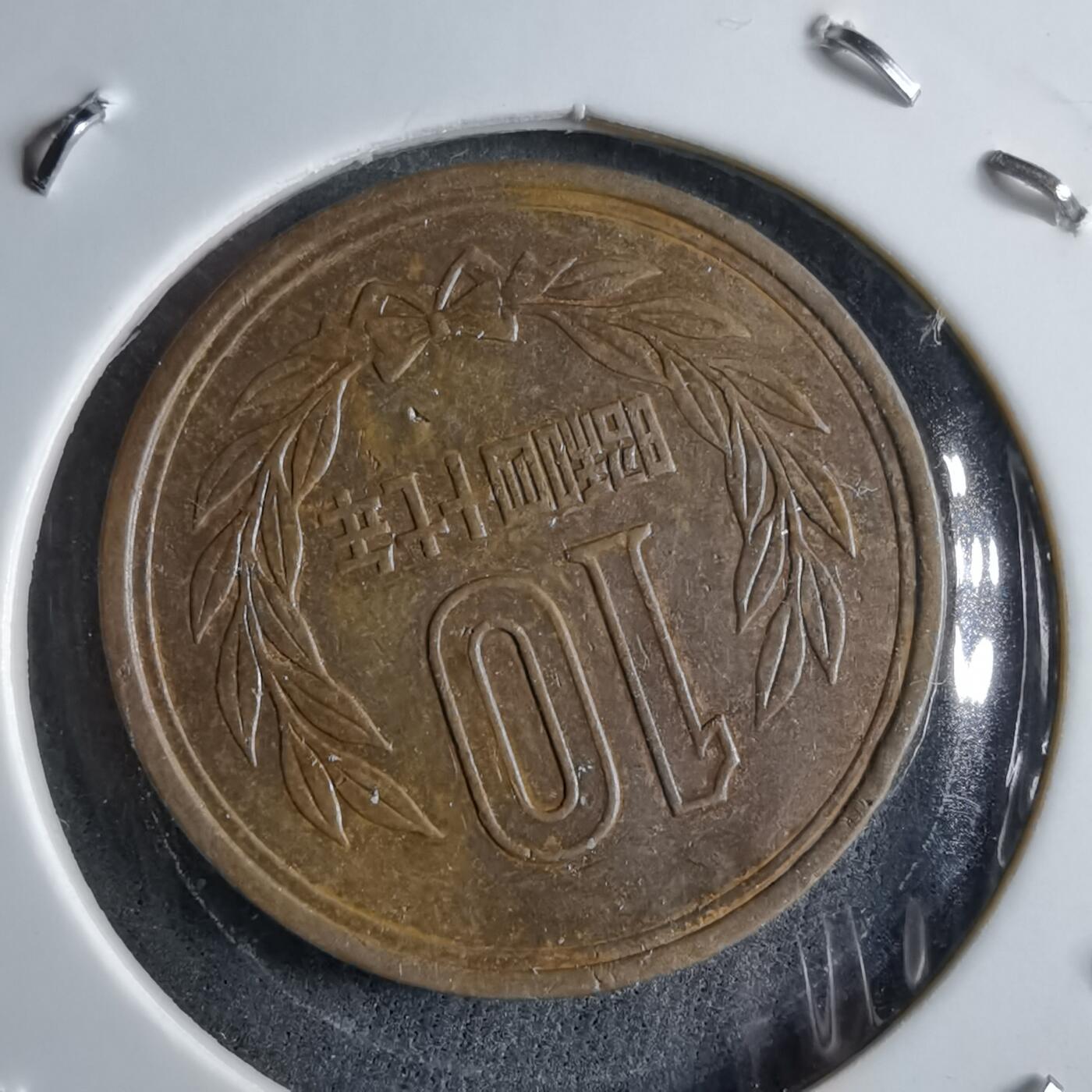 沼泽如烟--第891场