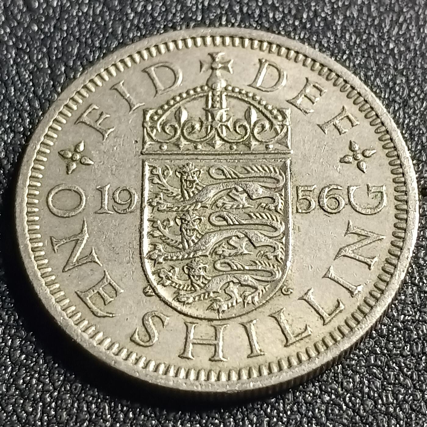 泉币菌-第128场-精品福利场(115场之后的本周末发货，感谢理解) 。