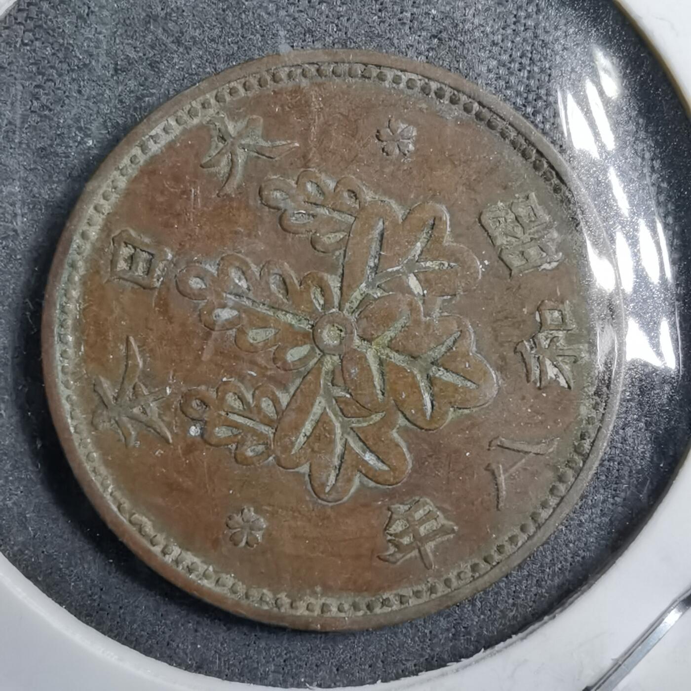 沼泽如烟--第891场