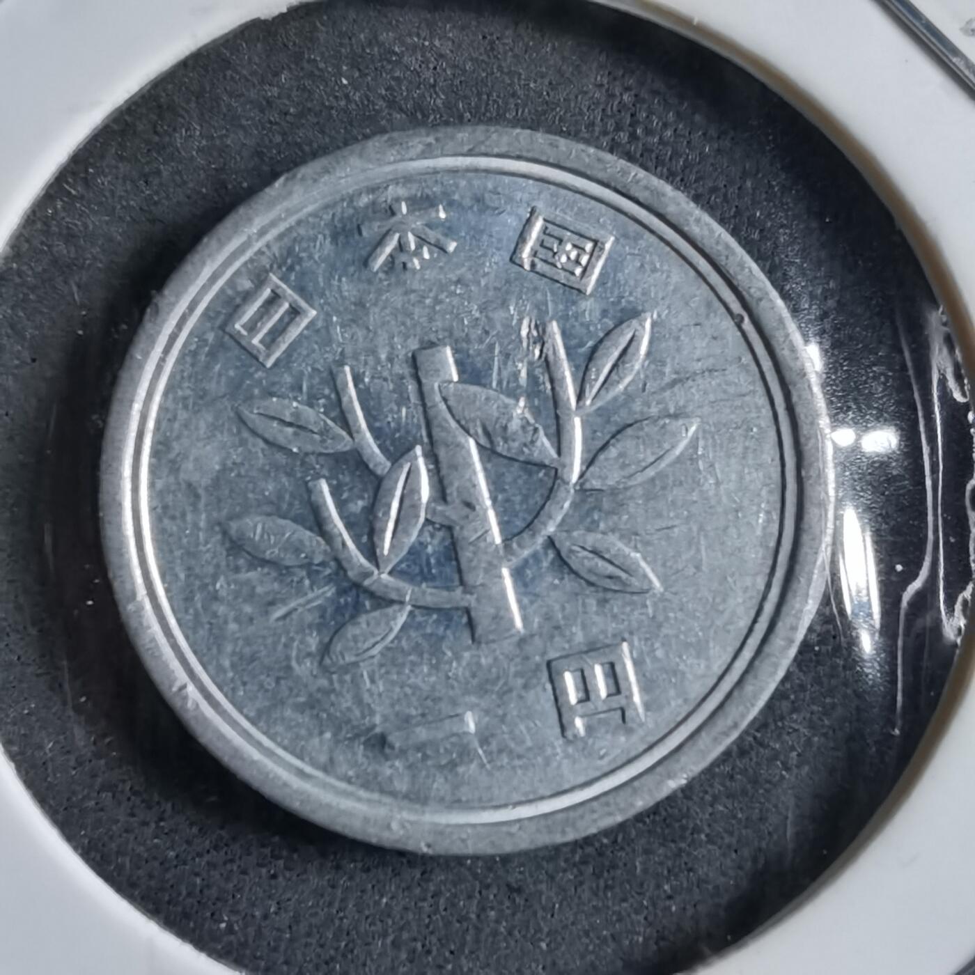 沼泽如烟--第891场