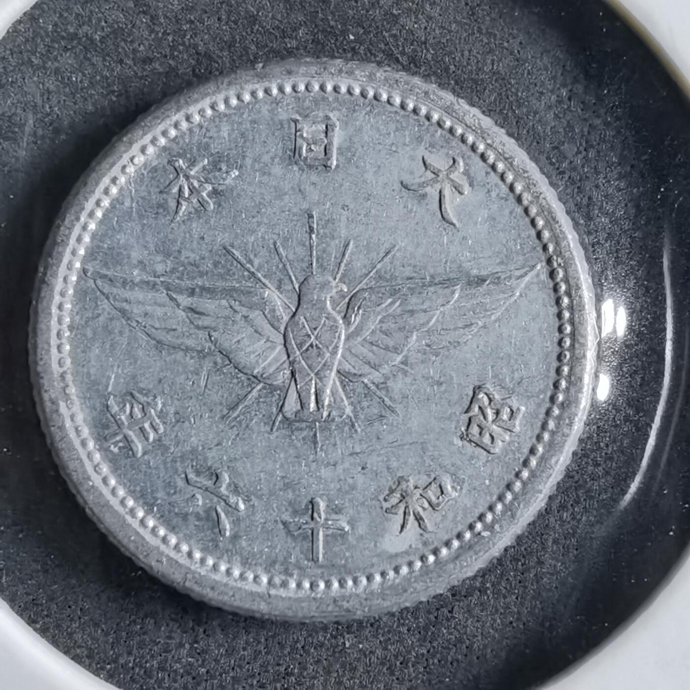 沼泽如烟--第891场