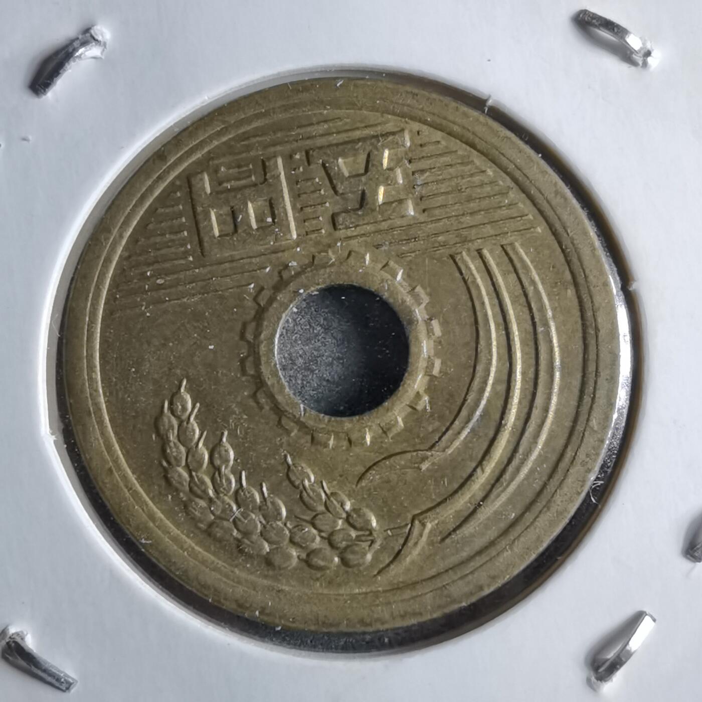 沼泽如烟--第891场