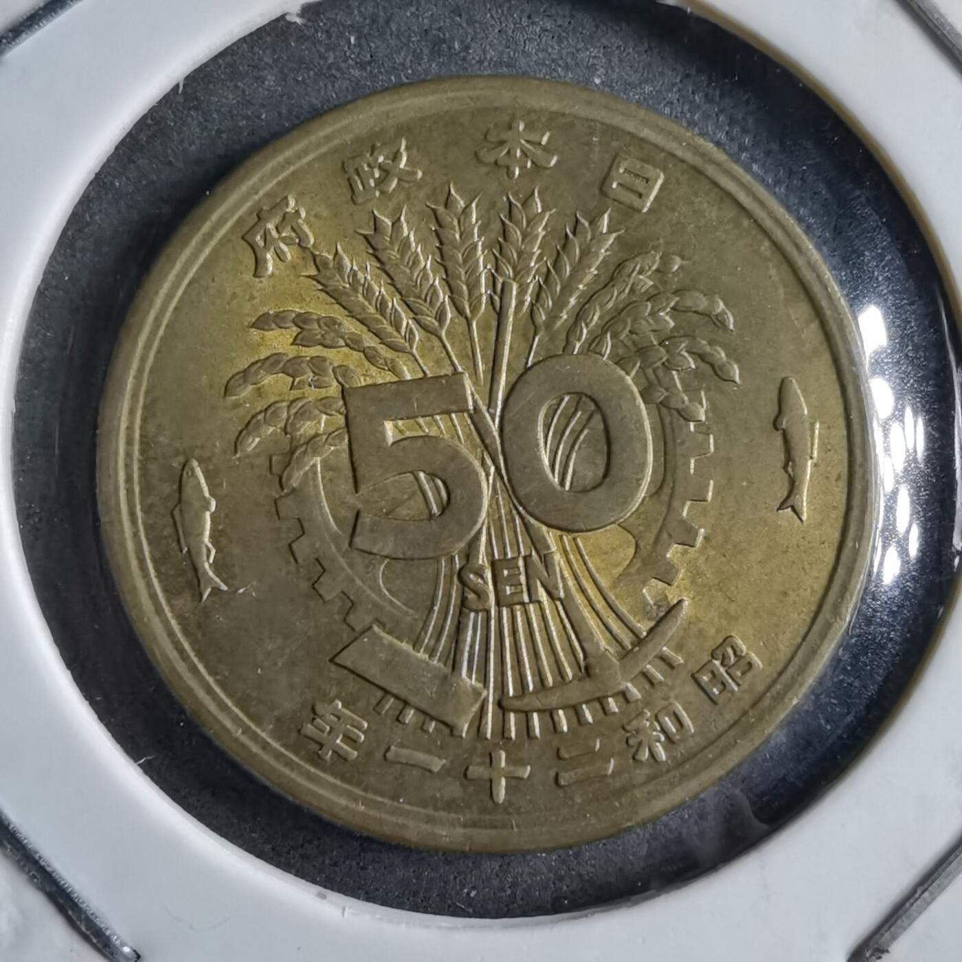 沼泽如烟--第891场