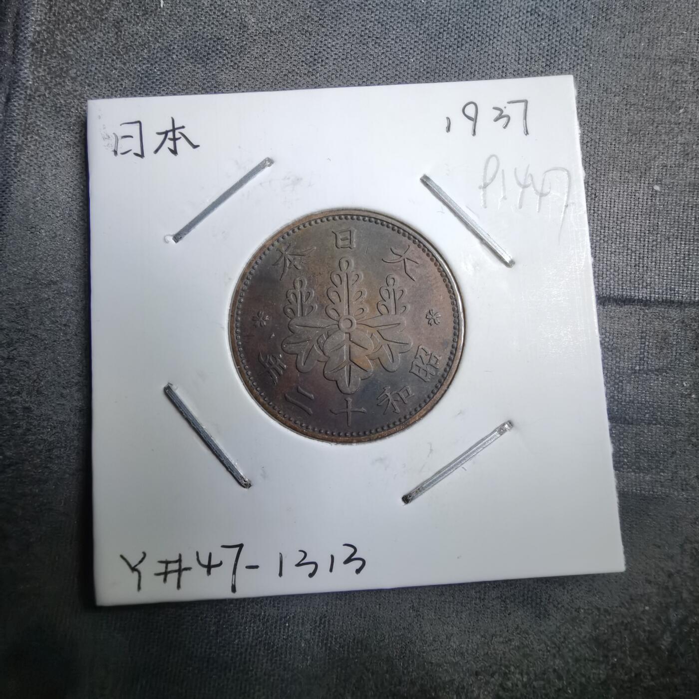 沼泽如烟--第891场