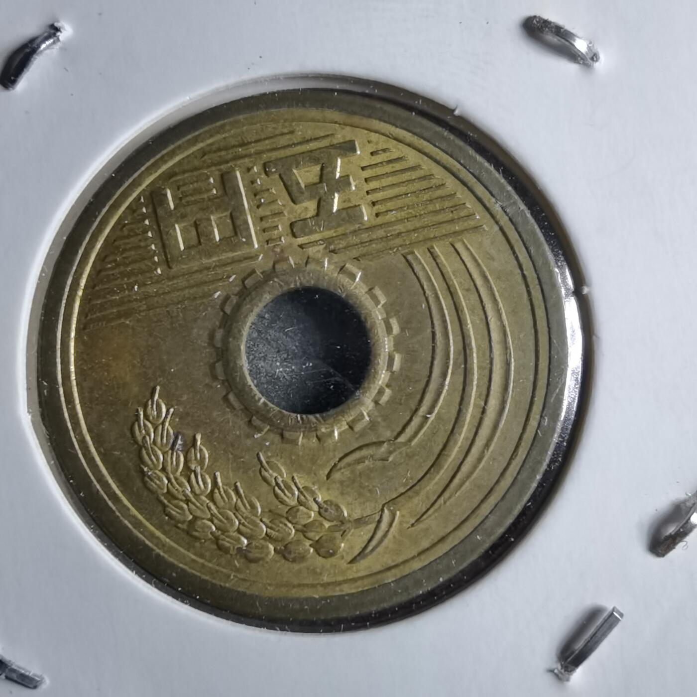 沼泽如烟--第891场