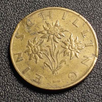 泉币菌-第127场-精品福利场(115场之后的本周末发货，感谢理解) - 奥地利1先令22.5mm 雪绒花