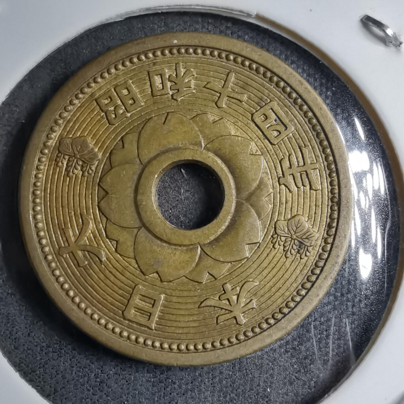 沼泽如烟--第891场