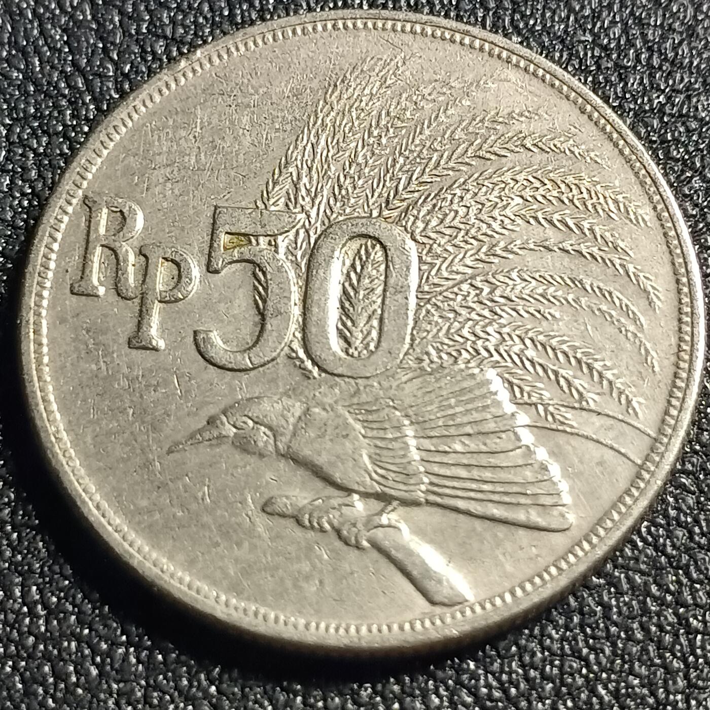 泉币菌-第128场-精品福利场(115场之后的本周末发货，感谢理解) 。