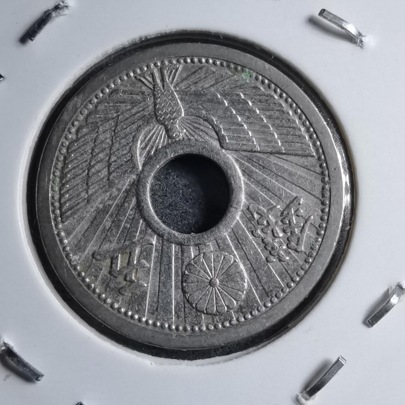 沼泽如烟--第891场