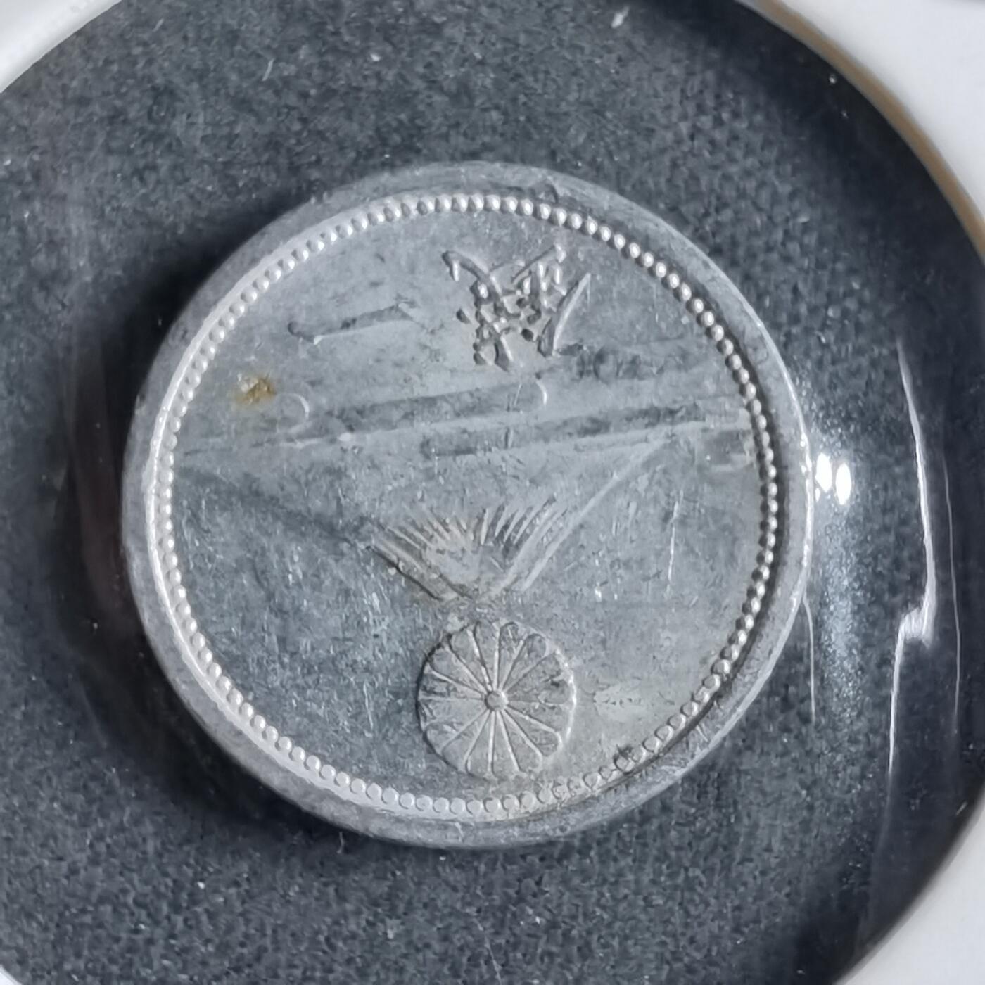 沼泽如烟--第891场