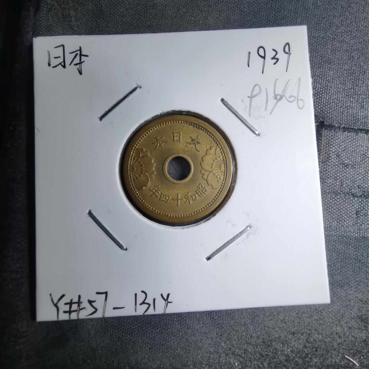 沼泽如烟--第891场