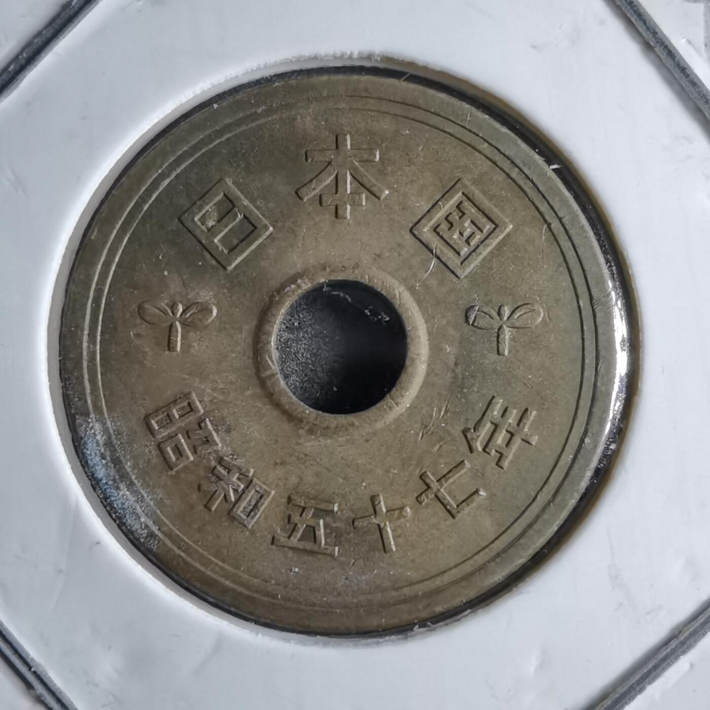 沼泽如烟--第891场