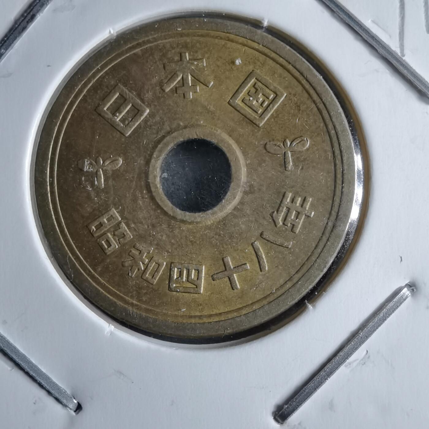 沼泽如烟--第891场