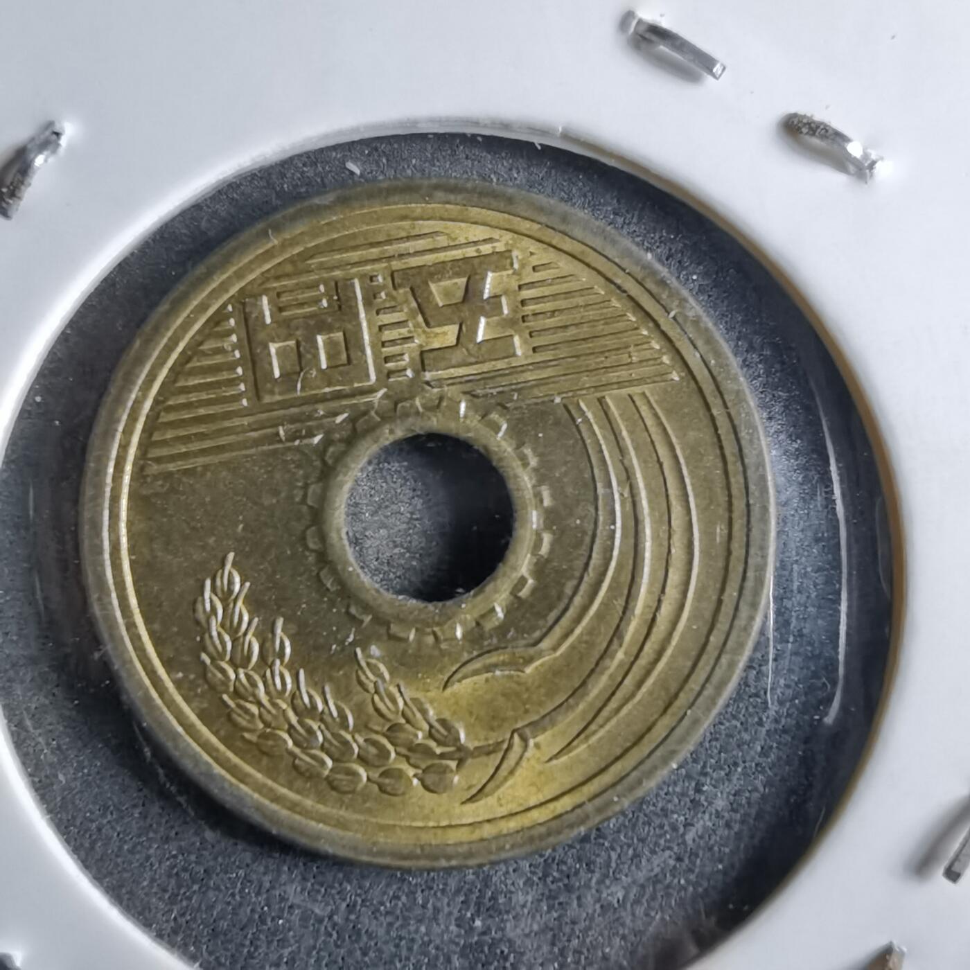 沼泽如烟--第891场