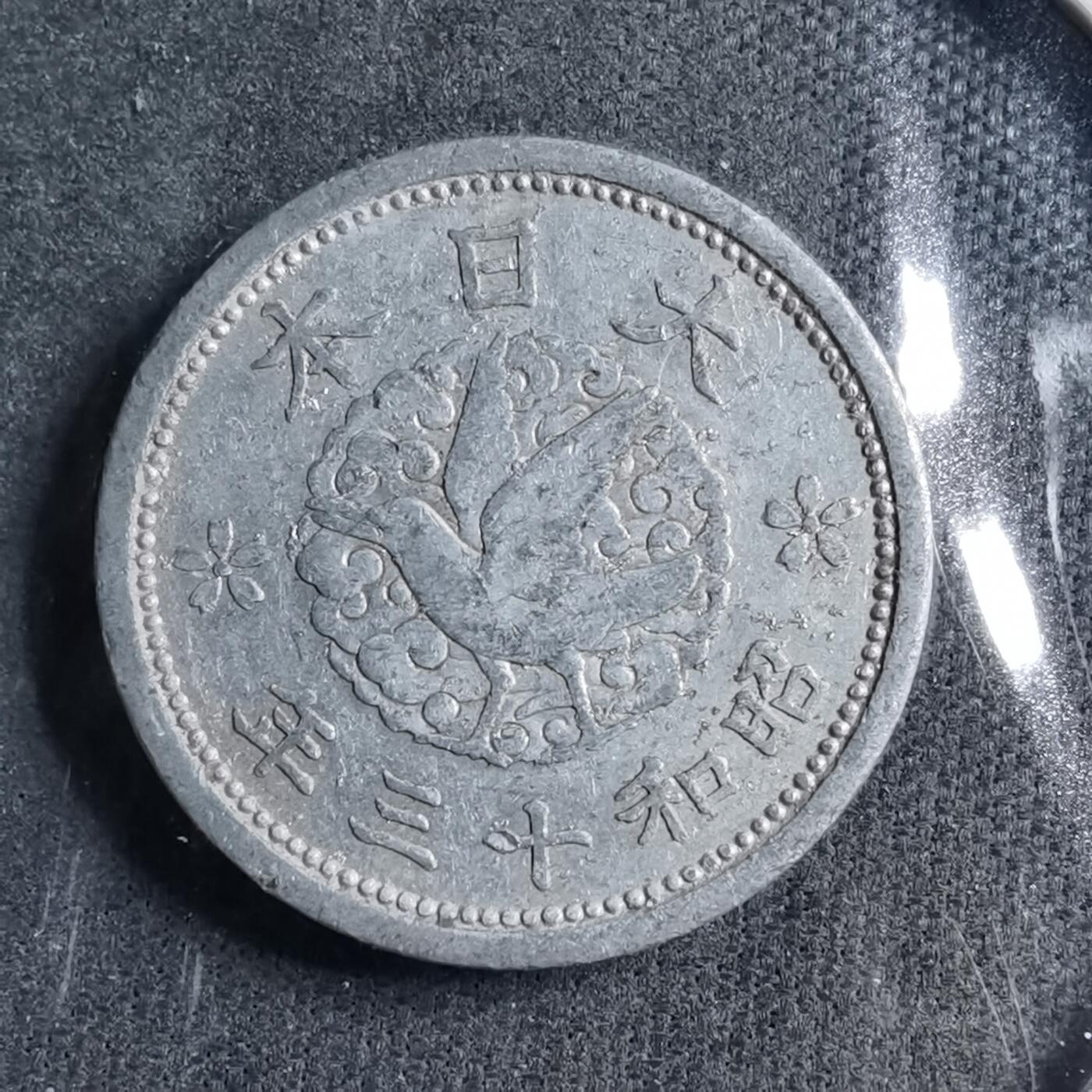 沼泽如烟--第891场