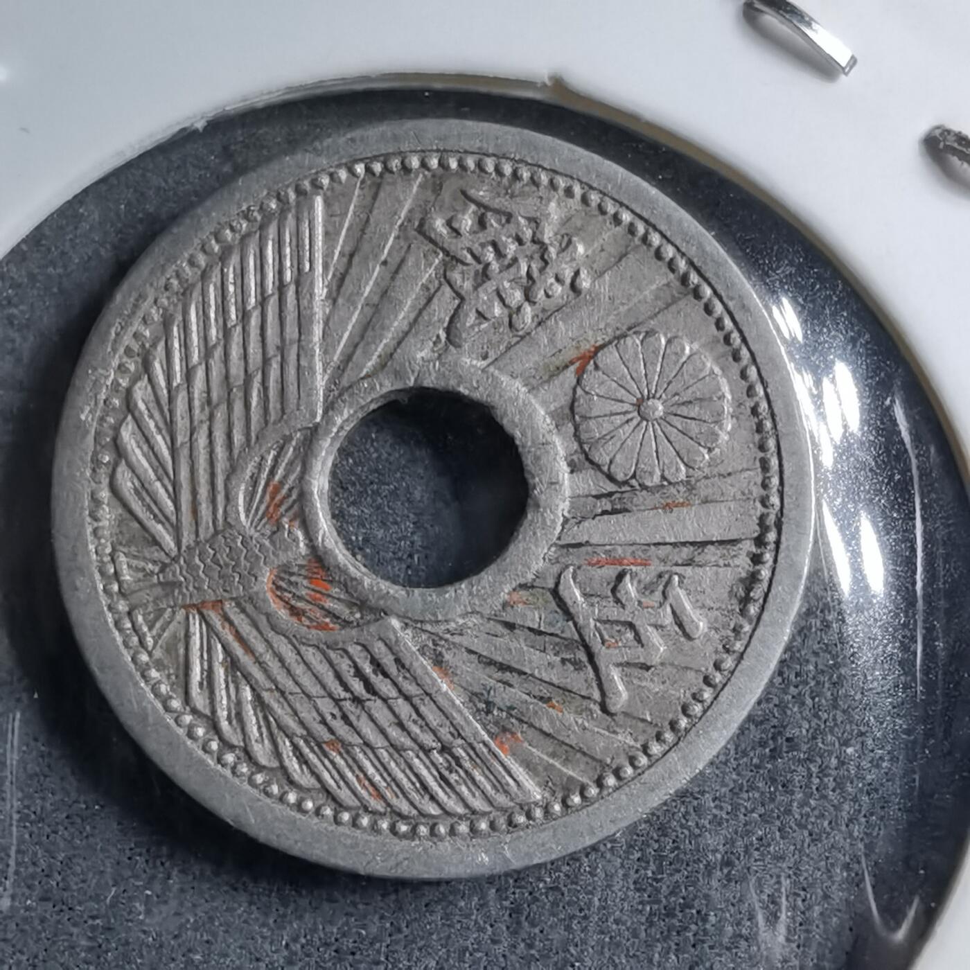 沼泽如烟--第891场