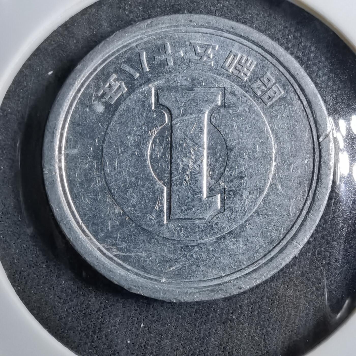 沼泽如烟--第891场