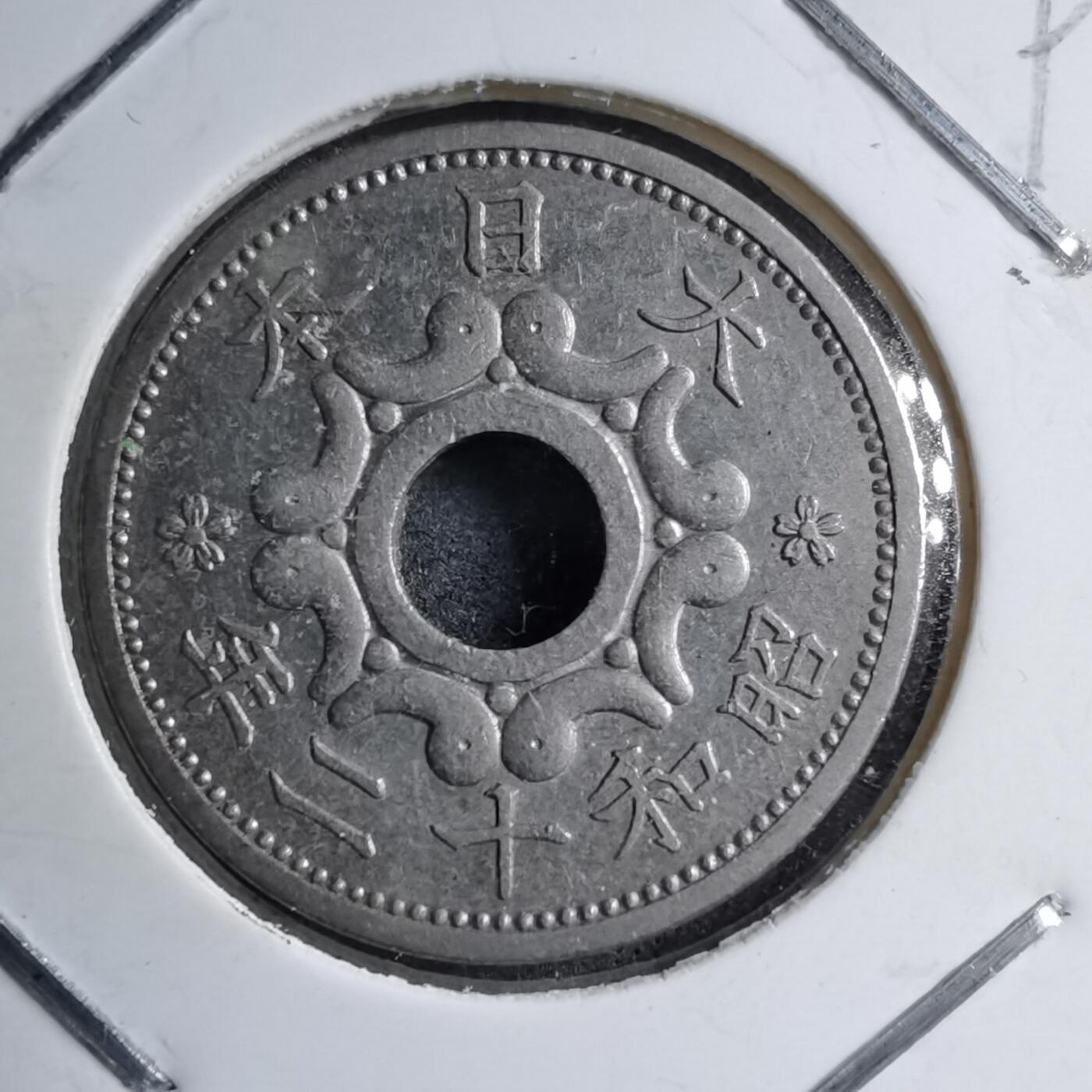 沼泽如烟--第891场