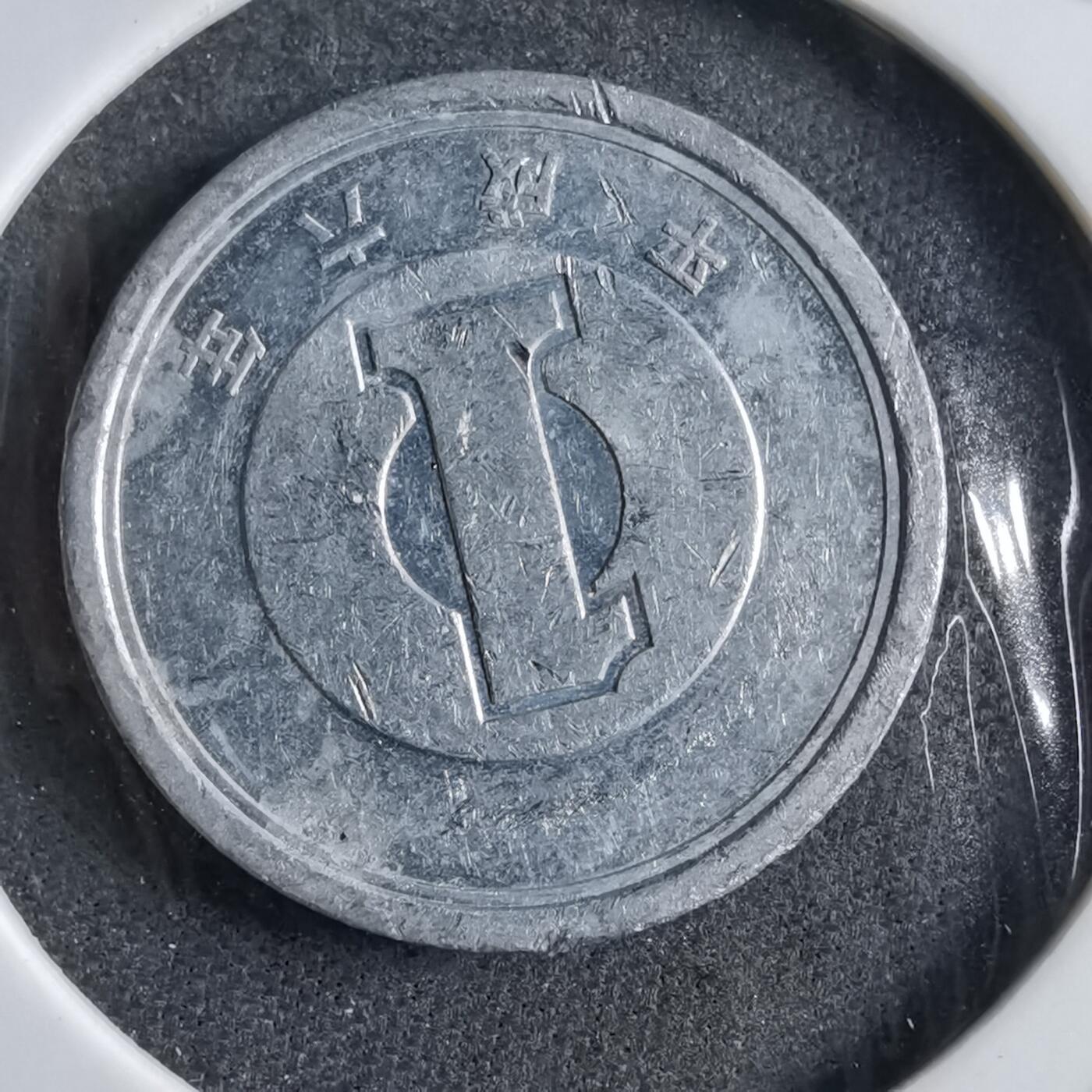 沼泽如烟--第891场