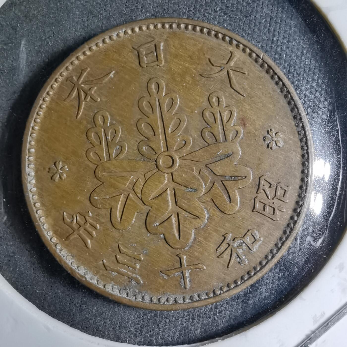 沼泽如烟--第891场