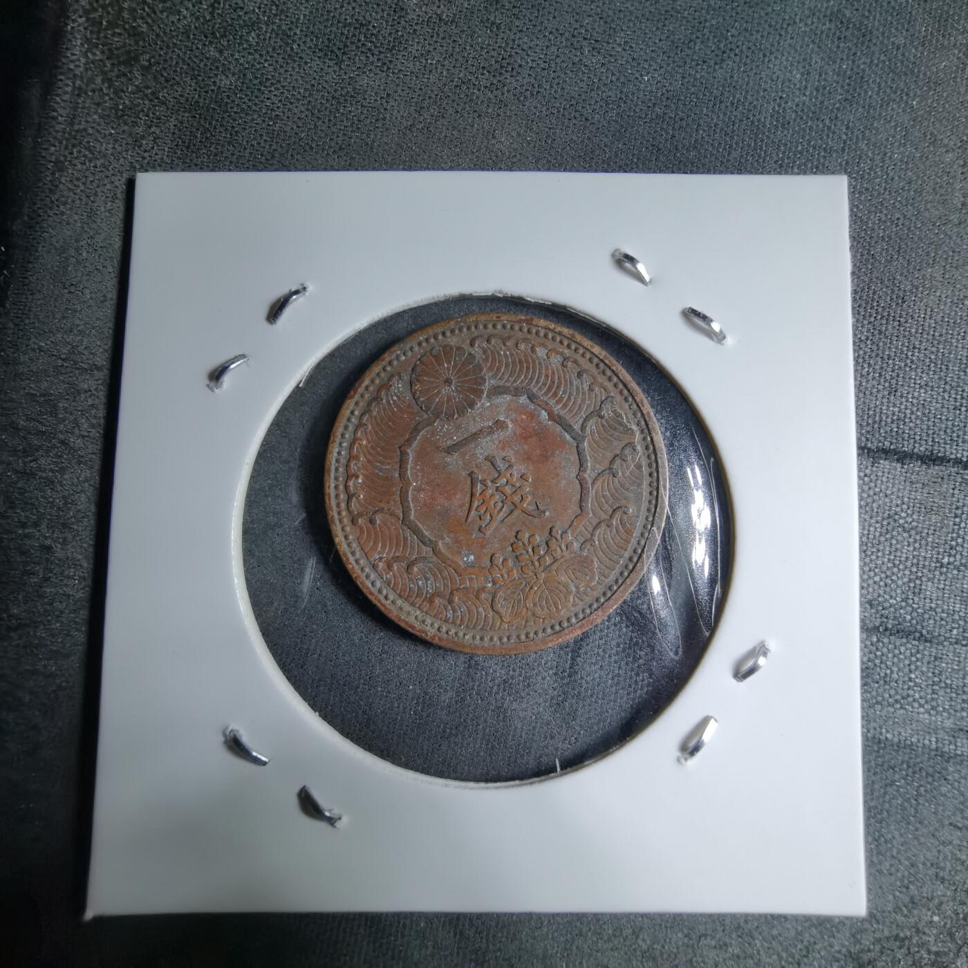 沼泽如烟--第891场