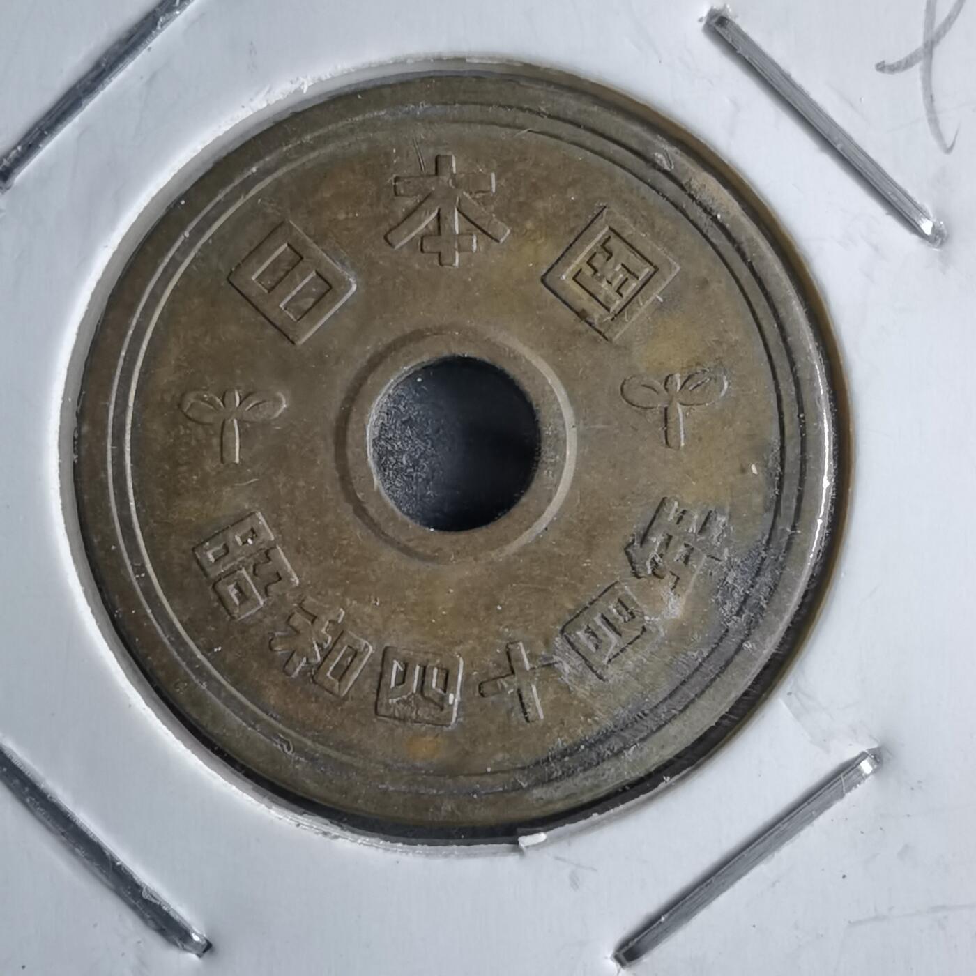 沼泽如烟--第891场