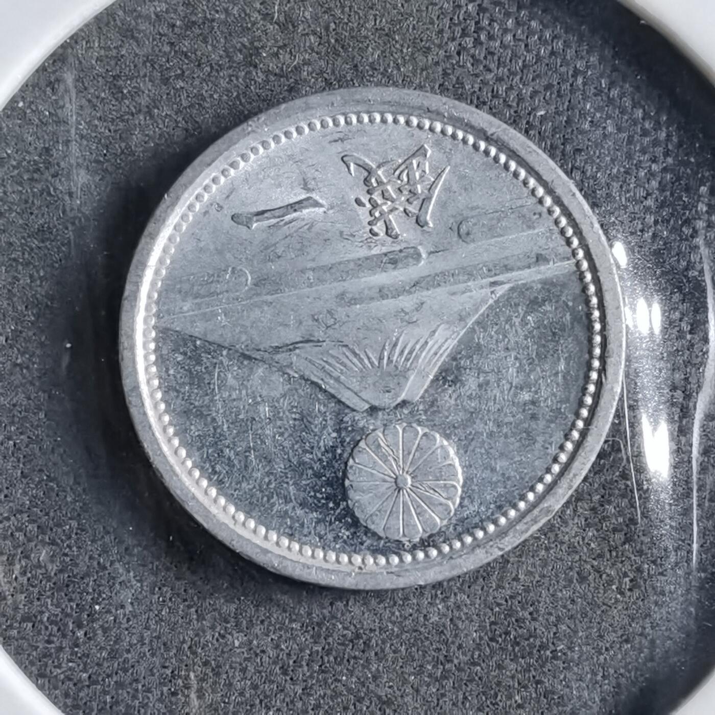 沼泽如烟--第891场